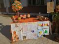 Festa_autunno_22